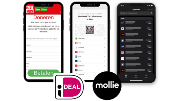 Betaal-formulier-ideal-mollie-website